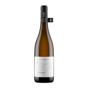 L’enologa IGP Trevenezie – Borgo Stajnbech