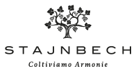 Borgo Stajnbech